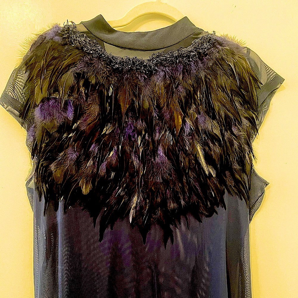 Feather from sheer sleeveless shirt